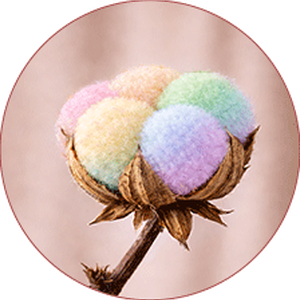 <p><strong>Multicolor</strong></p>