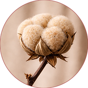 <p><strong>Beige</strong></p>