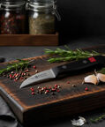 Wusthof Gourmet Stainless Steel Peeling Knife, Packshot View