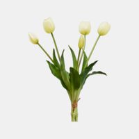 Tulipano Gomm Olis Faux Bunch