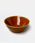 Classic Ceramic Glossy Bowl