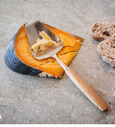 Oslo Stainless Steel Cheese Slicer