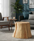 Home Deco and More Tefon Acacia Wood Side Table, Packshot View