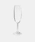 Vinovino Champagne Glass 8-piece Set