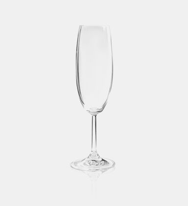 Vinovino Champagne Glass 8-piece Set