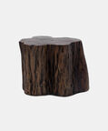 Home Deco and More Tefon Acacia Wood Trunk Side Table, Packshot View