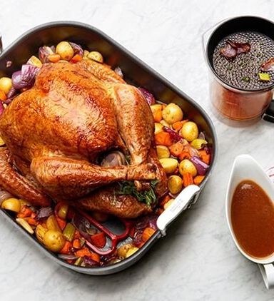 Good Gravy Fat Separator