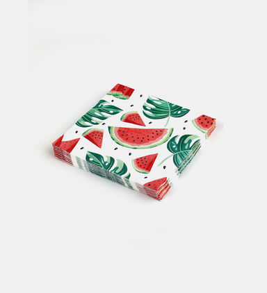 Watermelon 16-piece Napkins Set