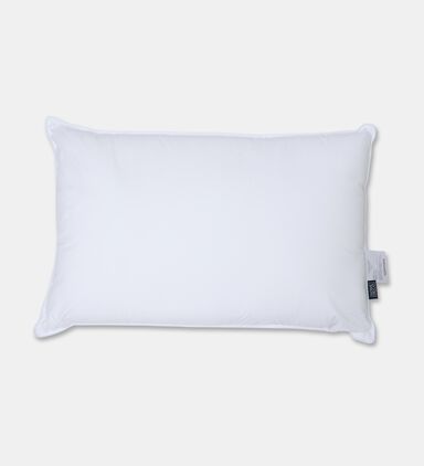 Home Deco and More Ted Pillow S2, Packshot View