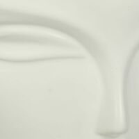 Fine Earthenware Face Planter