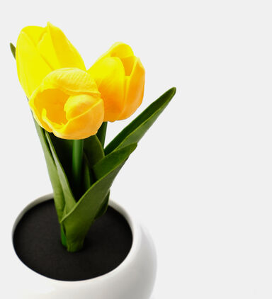 Led Artificial Tulips-in-pot