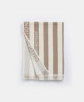 Delmor Stripped Beach Towel