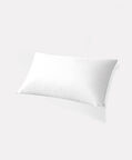 Home Deco and More Cotton Sateen Jacquard Pillow 760-gr, Packshot View