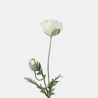 Papaver Jodie Faux Flower Branch