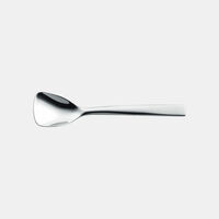 Stainless Steel Sugar Spoon