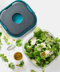 Plastic Fuel Salad On-the-go Container
