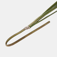 Festuca Spiga Faux Branch