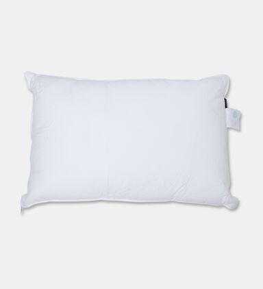 Home Deco and More Palma Pillow, Packshot View