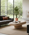 Home Deco and More Pebble Acacia Wood Coffee Table, Packshot View