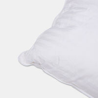 Home Deco and More Aurora Feather Pillow, Packshot View