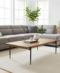 Home Deco and More Forge Country Finish Top Coffee Table, Packshot View