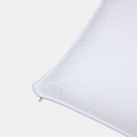 Home Deco and More Ted Pillow, Packshot View