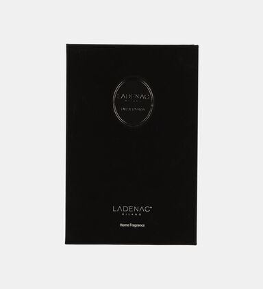 Urban Senses Eau De Cypres Candle 50 Cl