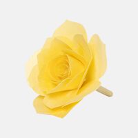 Grapes-and-figs Rosa Fragrance