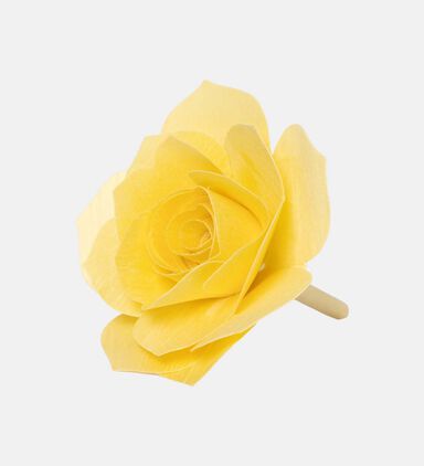 Grapes-and-figs Rosa Fragrance