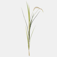 Festuca Spiga Faux Branch