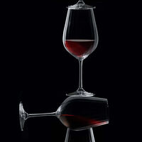 Classic 2-piece Wine Glass Set
