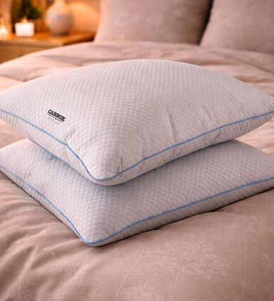 Cannon Cooling Microfiber Sleep Pillow Set, Packshot View