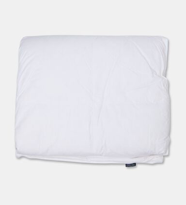 Home Deco and More Dreamer Cmfrtr Feather, White, 200x200-cm, Packshot View