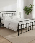 Home Deco and More Stella Iron Frame Bed, Black, 180x200-cm, Packshot View