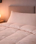 Home Deco and More Goose Down-85-feather Comforter, White, 160x200-cm, Packshot View