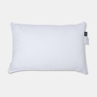 Home Deco and More Ted Pillow, Packshot View