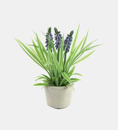 Muscari Faux Flower Pot