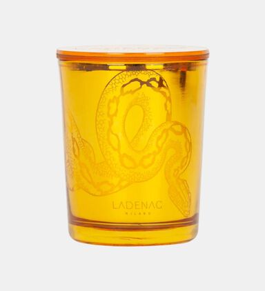 Pura Pure Cologne 75 Gr