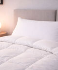 Home Deco and More Cotton Sateen Fibre Duvet, White, 160x200-cm, Packshot View