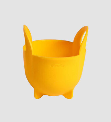 Plastic 12 Single Egg Poacher