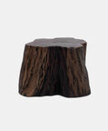 Home Deco and More Tefon Acacia Wood Trunk Side Table, Packshot View