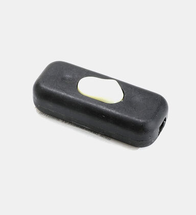 Inotech Thermoplastic Switch Bip 2a 250 V, Packshot View