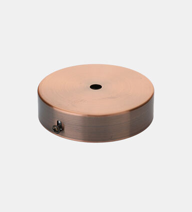 Steel Ceiling Rose Single Output