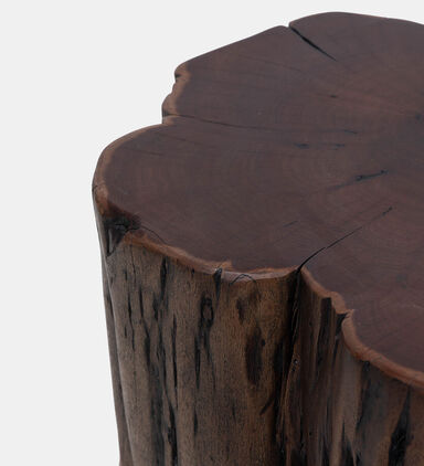 Home Deco and More Tefon Acacia Wood Trunk Side Table, Packshot View