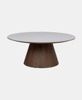 Home Deco and More Snow Walnut Ceramic Walnut Coffee Table, Packshot View