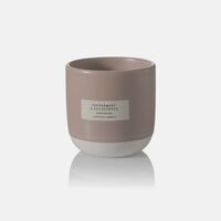 Wax Peppermint Jar Scented Candle