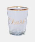 Just Married Gold Rim Shot Glass Set