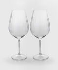 Classic 2-piece Wine Glass Set