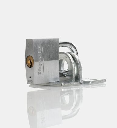 Stainless Steel Bolt Clamp Lock Set