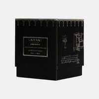 Precious Bois Dinde Scented Candle 320 Gr